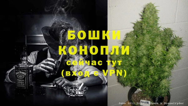 spice Верея