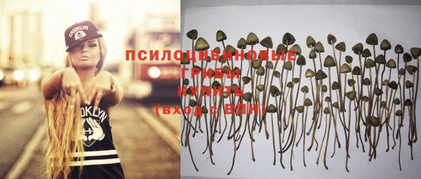тгк Верхний Тагил
