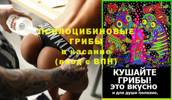 spice Верея